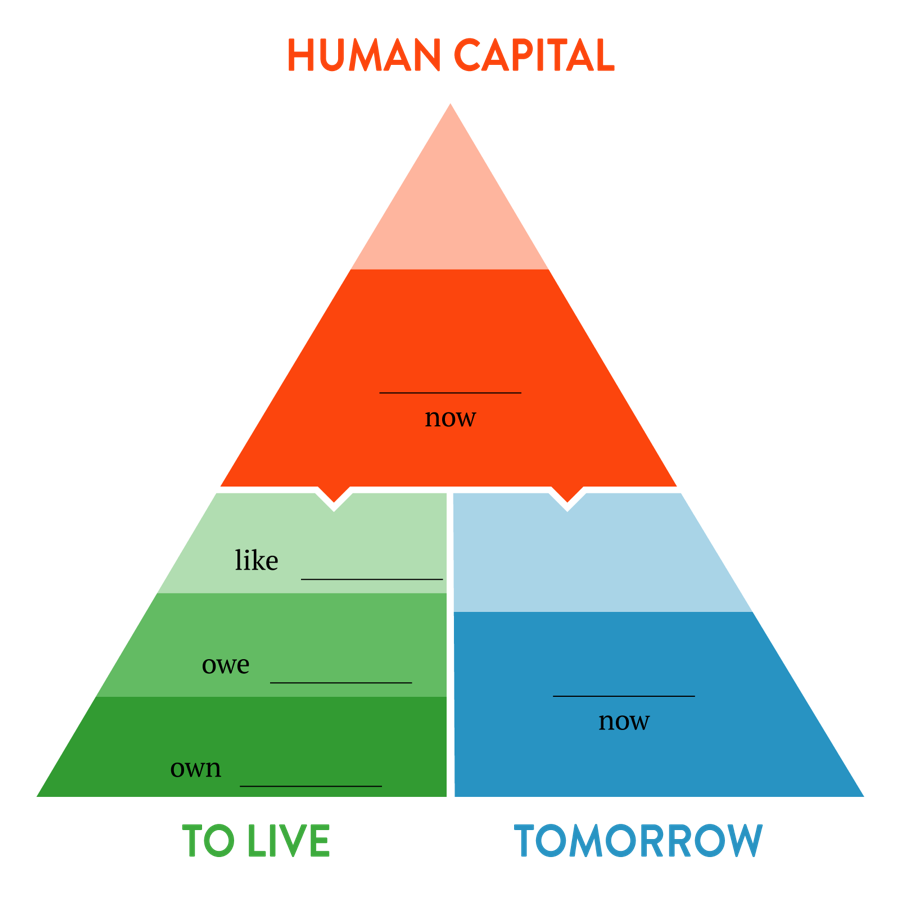 Life balance sheet report pyramid: human capital above a to live column of what you like, owe and own, beside a tomorrow column